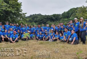 REFORESTACION