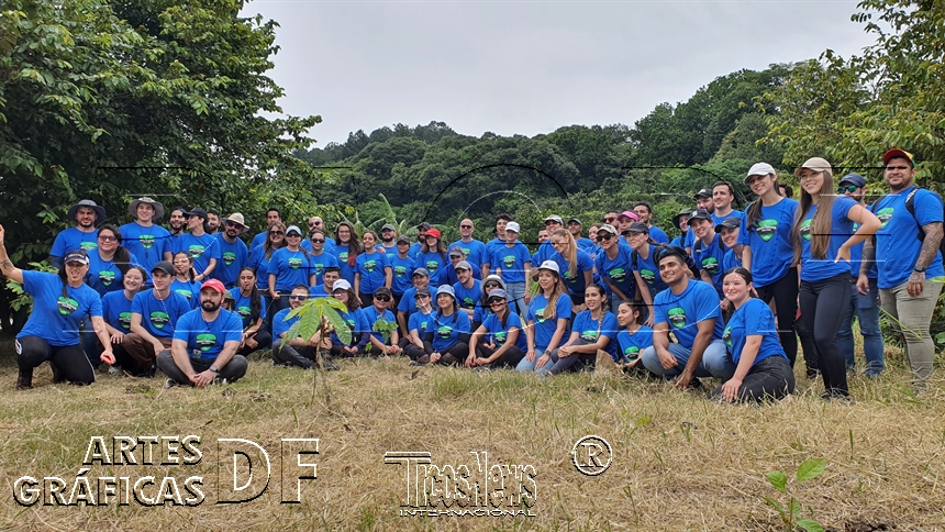 REFORESTACION