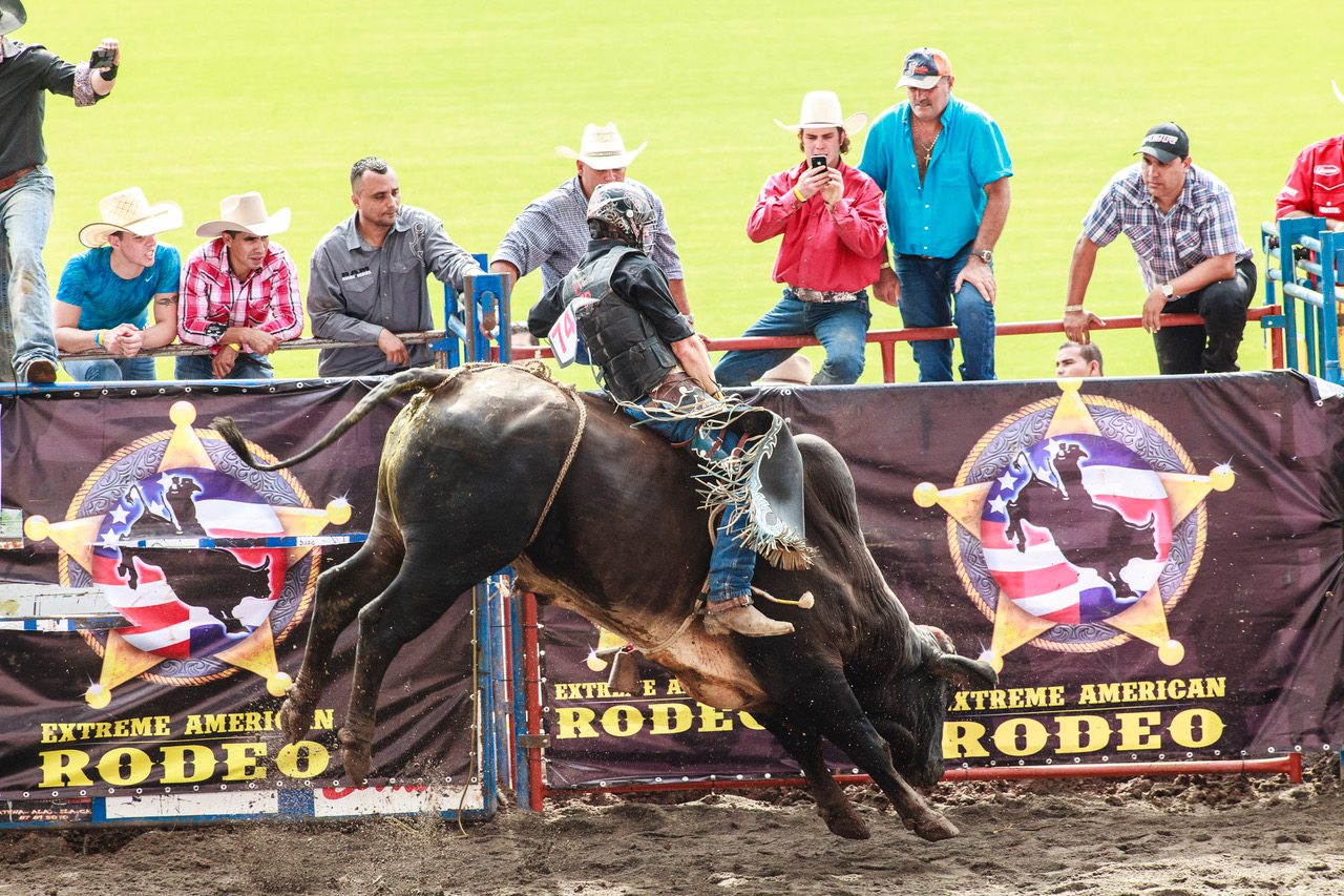 RODEO 2024