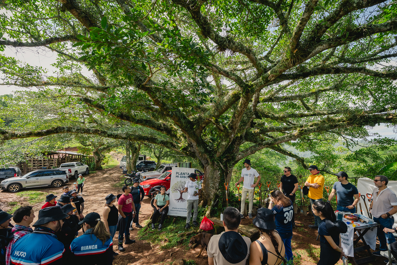 ECOLOGIA