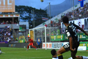 DEPORTES