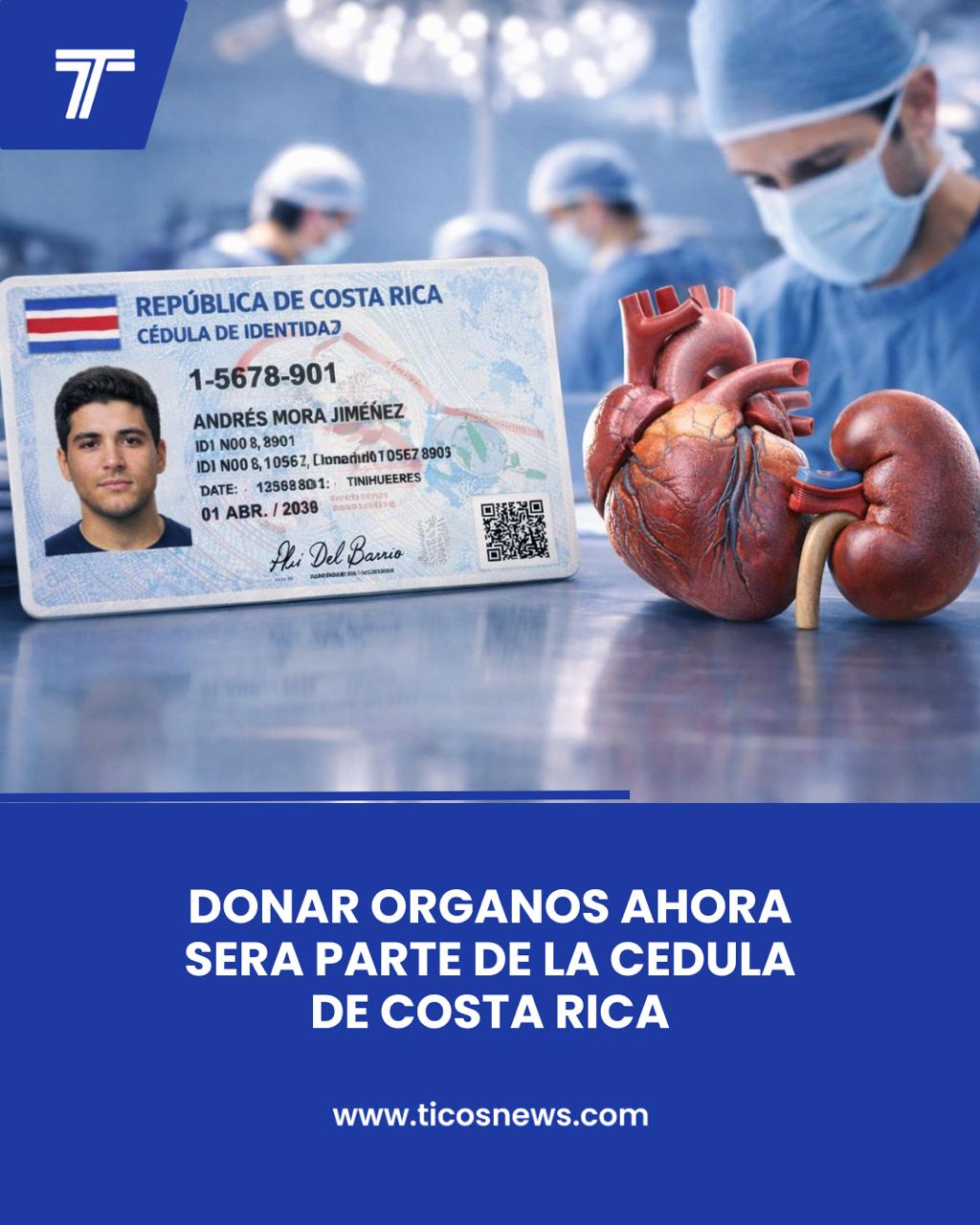 POLITICA